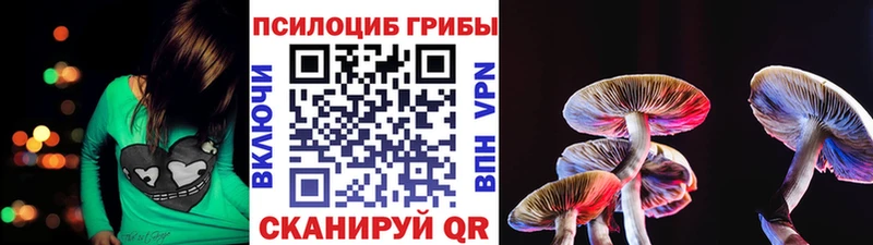 Галлюциногенные грибы Psilocybe  Семилуки 